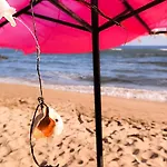 William's - Second Cozy