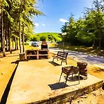 Daire William's - Second Cozy *