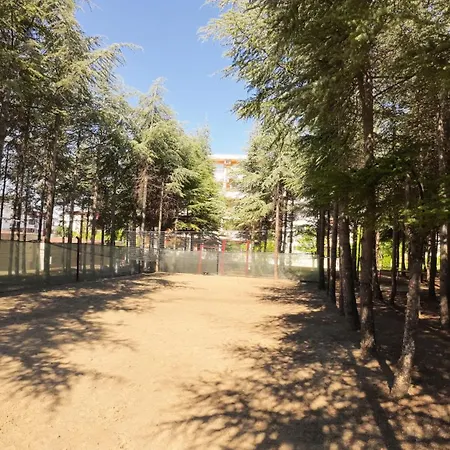 William's - Second Cozy * 圣弗拉斯