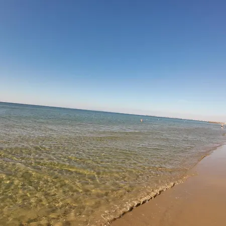 William's - Second Cozy * 圣弗拉斯