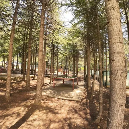 William's - Second Cozy 公寓