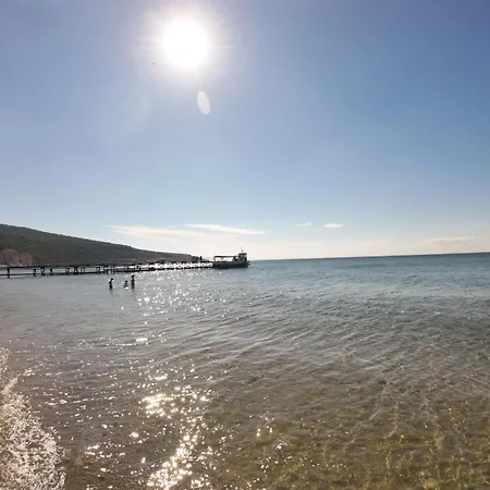 William's - Second Cozy *