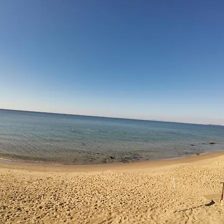 William's - Second Cozy * 圣弗拉斯