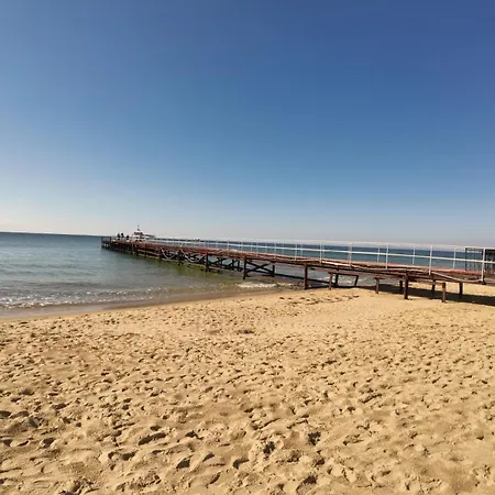 William's - Second Cozy