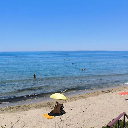 William's - Second Cozy * 圣弗拉斯