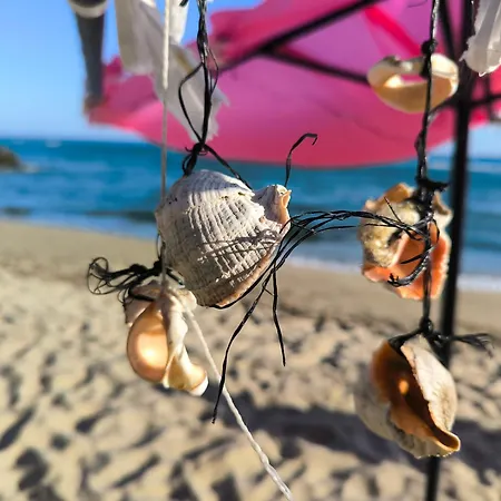 公寓 William's - Second Cozy 圣弗拉斯