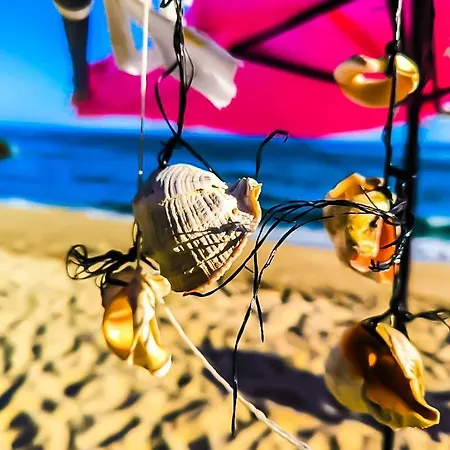 William's - Second Cozy * 圣弗拉斯