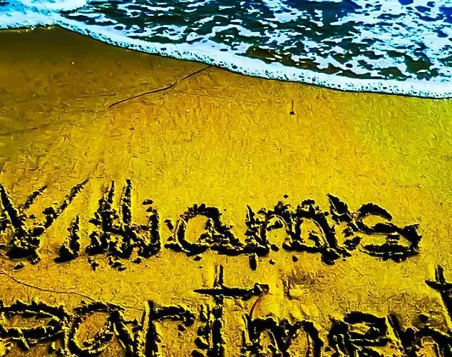 William's - Second Cozy *