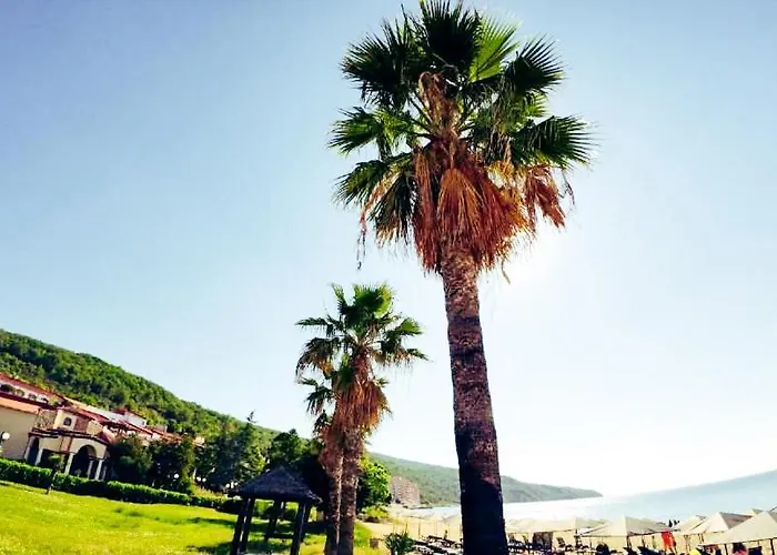 William's - Second Cozy Szveti Vlasz