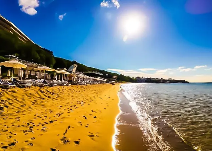 William's - Second Cozy