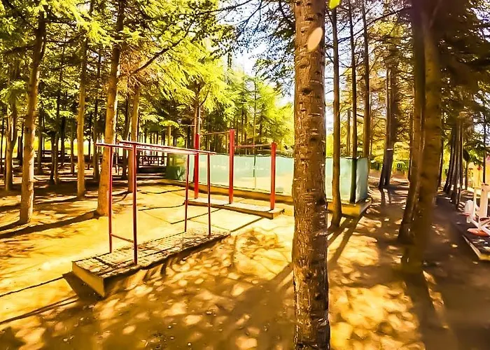 William's - Second Cozy Szveti Vlasz